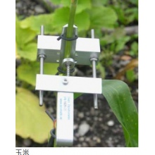 DD-S茎干直径生长变化记录仪