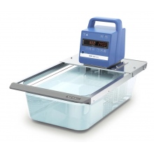 ICC basic eco 18