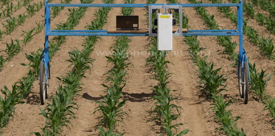 1583918966519256.jpg 高通量植物光合表型测量仪 LIFT.jpg