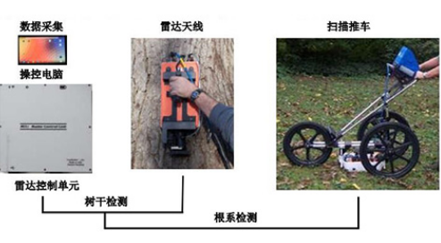 1584071140511504.jpg TRU树木雷达检测系统.jpg
