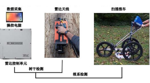 TRU树木雷达检测系统.jpg